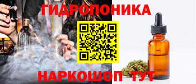 соль ск Лесосибирск