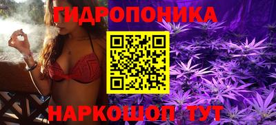соль ск Лесосибирск